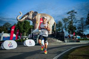 BIB: 
                            <button type="button" onclick="openModal(26541598)" class="btn btn-primary btn-sm float-right btn-popup" data-toggle="modal" data-target=".modal-high-quality">
                        <i class="fas fa-shopping-cart"></i> Add to Cart
                    </button>
                                            <button type="button" onclick="isThisMe(26541598, true)" class="btn btn-success btn-sm float-right btn-popup btn-isme hidden" data-toggle="tooltip" data-placement="bottom" title="นี่คือรูปของคุณใช่ไหม คลิกที่นี่เพื่อเอาเข้าอัลบั้ม">
                        <i class="fas fa-plus"></i> Add to album
                    </button>
                    <button type="button" onclick="isThisMe(26541598, false)" class="btn btn-warning btn-sm float-right btn-popup btn-isnotme hidden">
                        <i class="fas fa-ban"></i> Remove from album
                    </button>